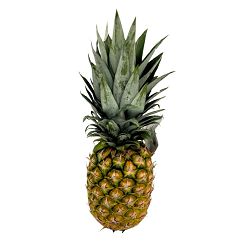 ANANAS SUPER SWEET